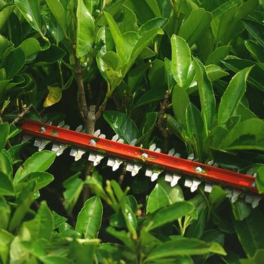 40V Hedge Trimmer 61cm